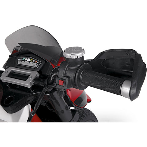 Ducati Enduro IGMC0023